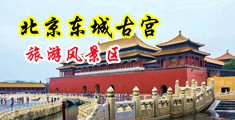 黄色ww的视频中国北京-东城古宫旅游风景区